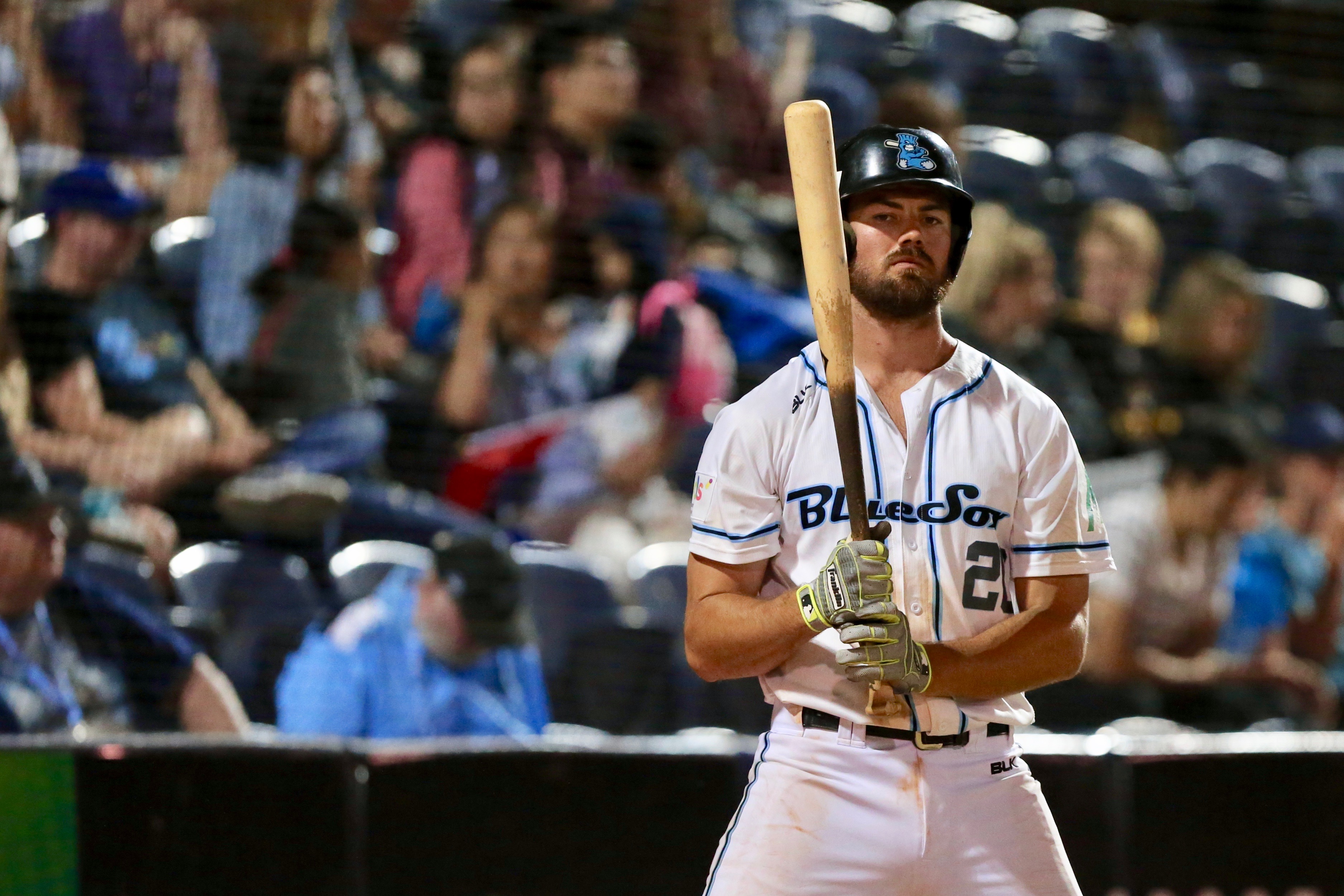 Sydney Blue Sox (@SydneyBlueSox) / X